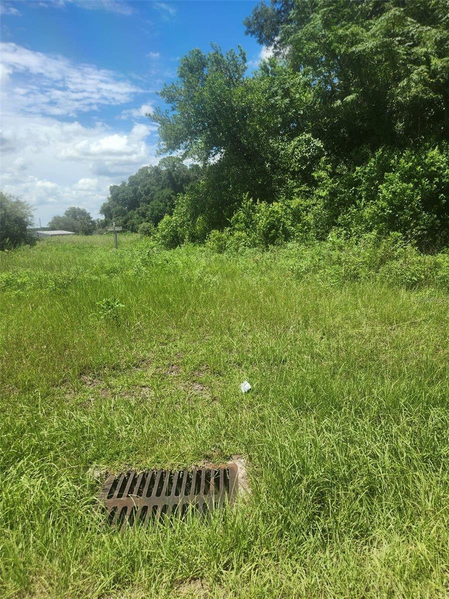 BELLEVIEW HILLS ESTATE - Land