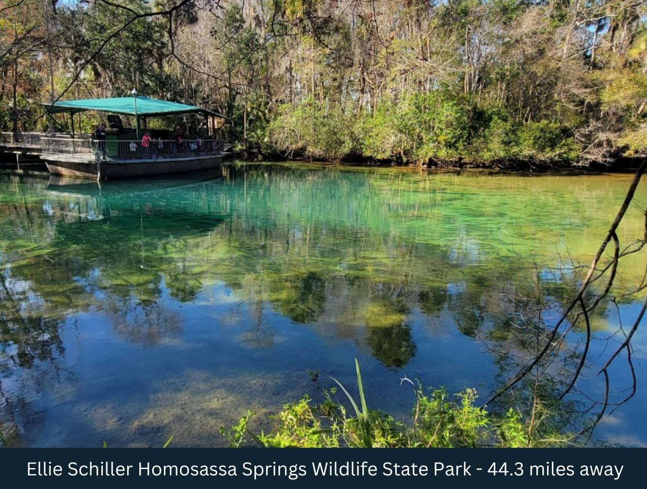 BELLEVIEW HILLS ESTATE - Land