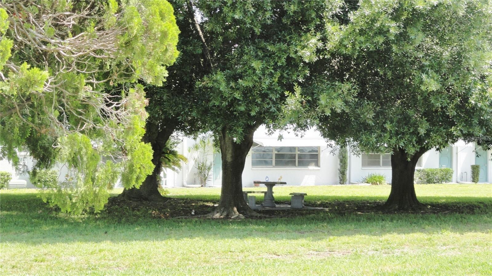 PARADISE SHORES - Residential