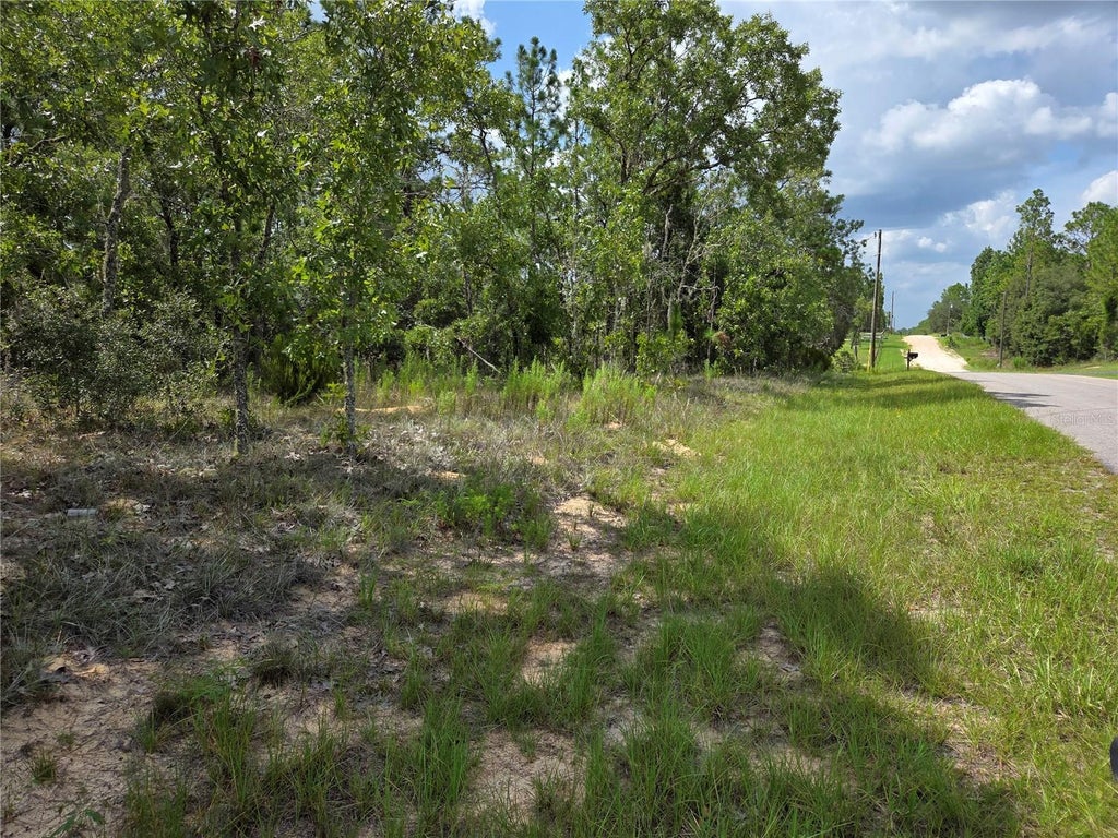 Photo of 0000 NE 150th Avenue, Williston, FL 32696 (MLS # OM729285)