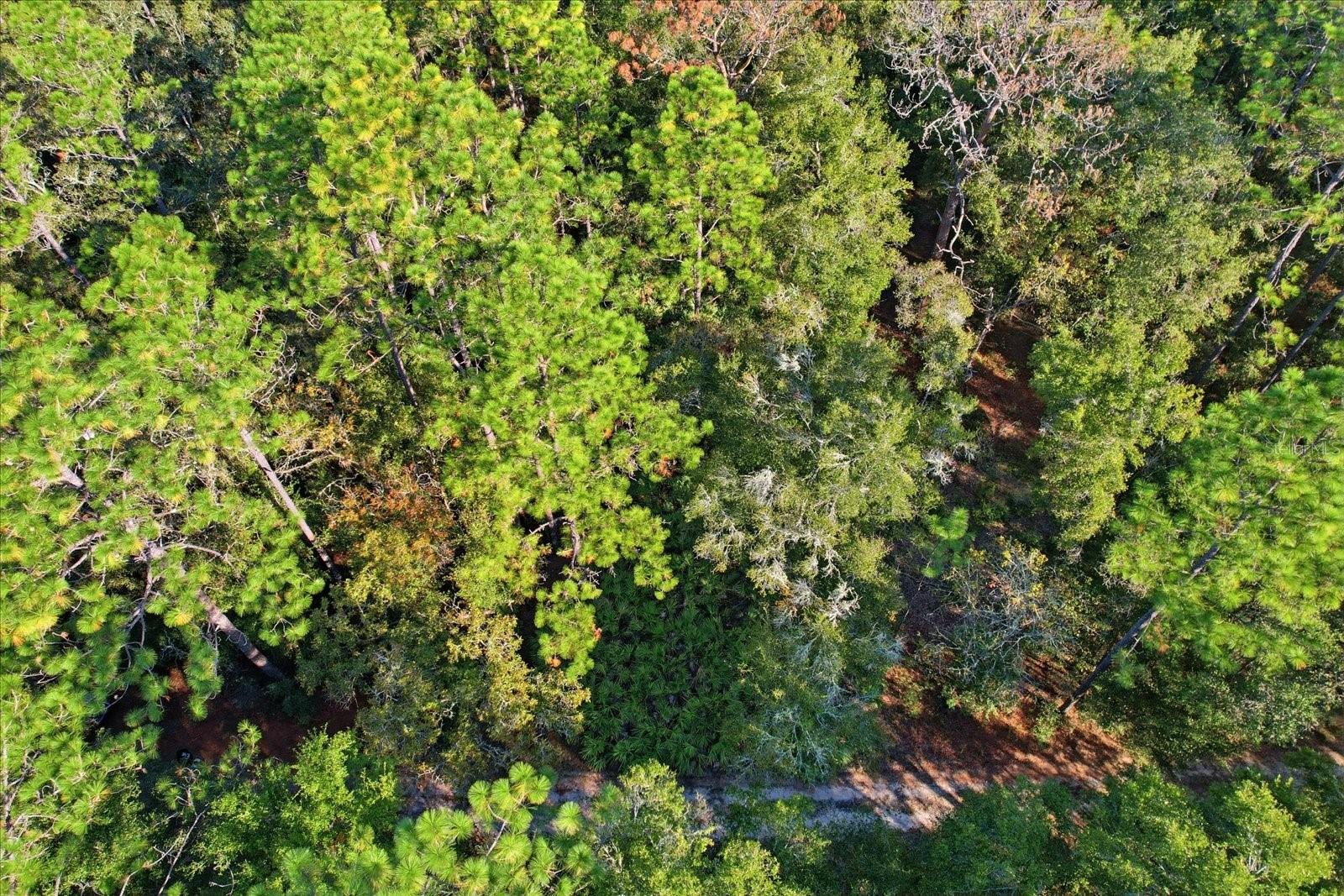 RAINBOW ESTATES UNIT 01 - Land