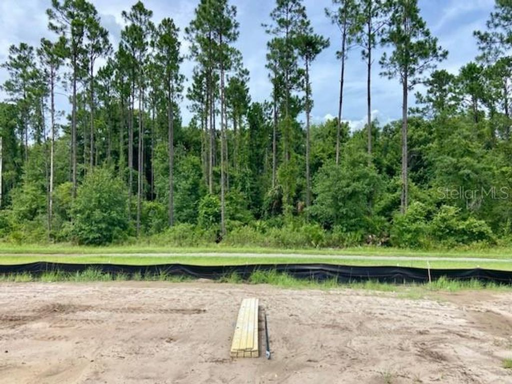 Photo of 122 Hulett Woods Road S, Palm Coast, FL 32137 (MLS # FC301737)