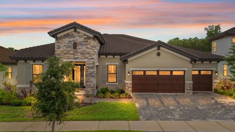 Photo of 14544 Swiss Bridge Drive, Lithia, FL 33547 (MLS # TB8504930)