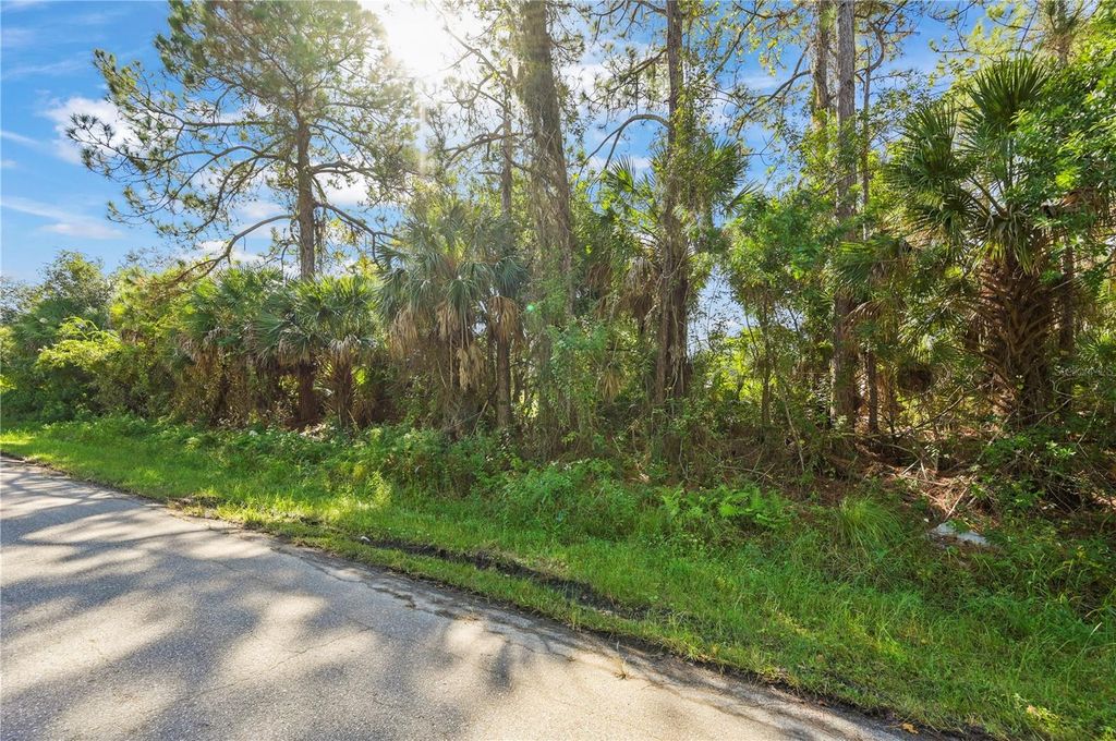 Photo of 25 Cranbrook Avenue, North Port, FL 34286 (MLS # C7507980)