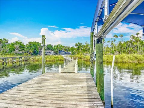 Tiny photo for 1544 NW 17th Court, Crystal River, FL 34428 (MLS # OM700131)