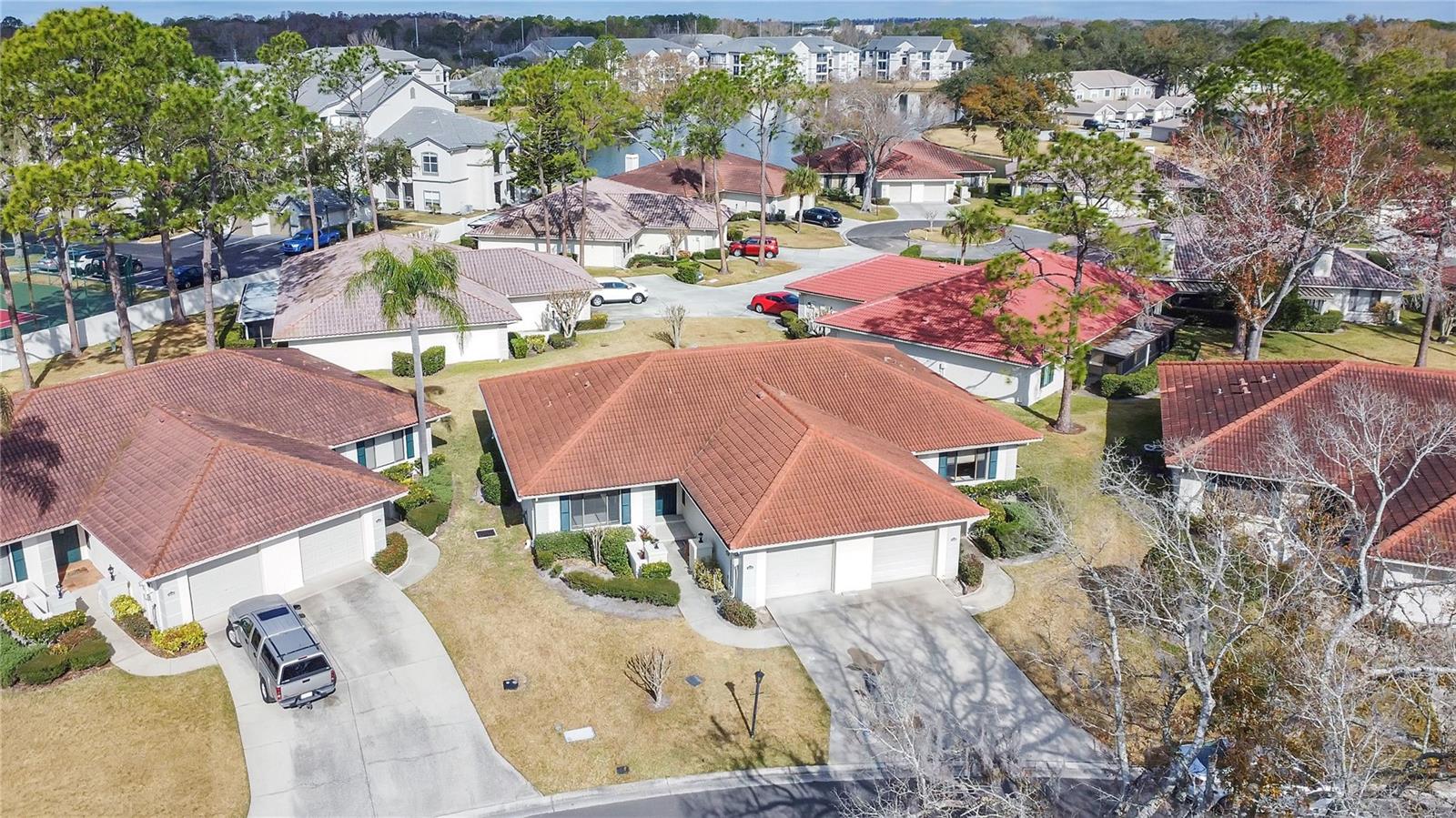 LAKEVIEW VILLAS AT PEBBLE CREE - Residential