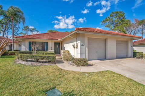 Photo of 18314 Aintree Court, Tampa, FL 33647 (MLS # L4959378)