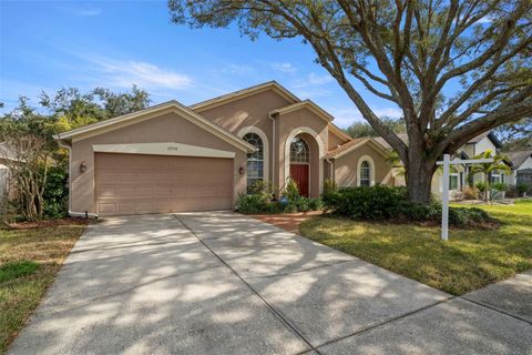 A home in PALM HARBOR