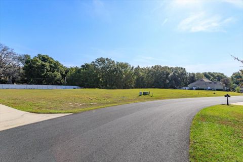 1005 MYRTLE BREEZES COURT FRUITLAND PARK FL 34731