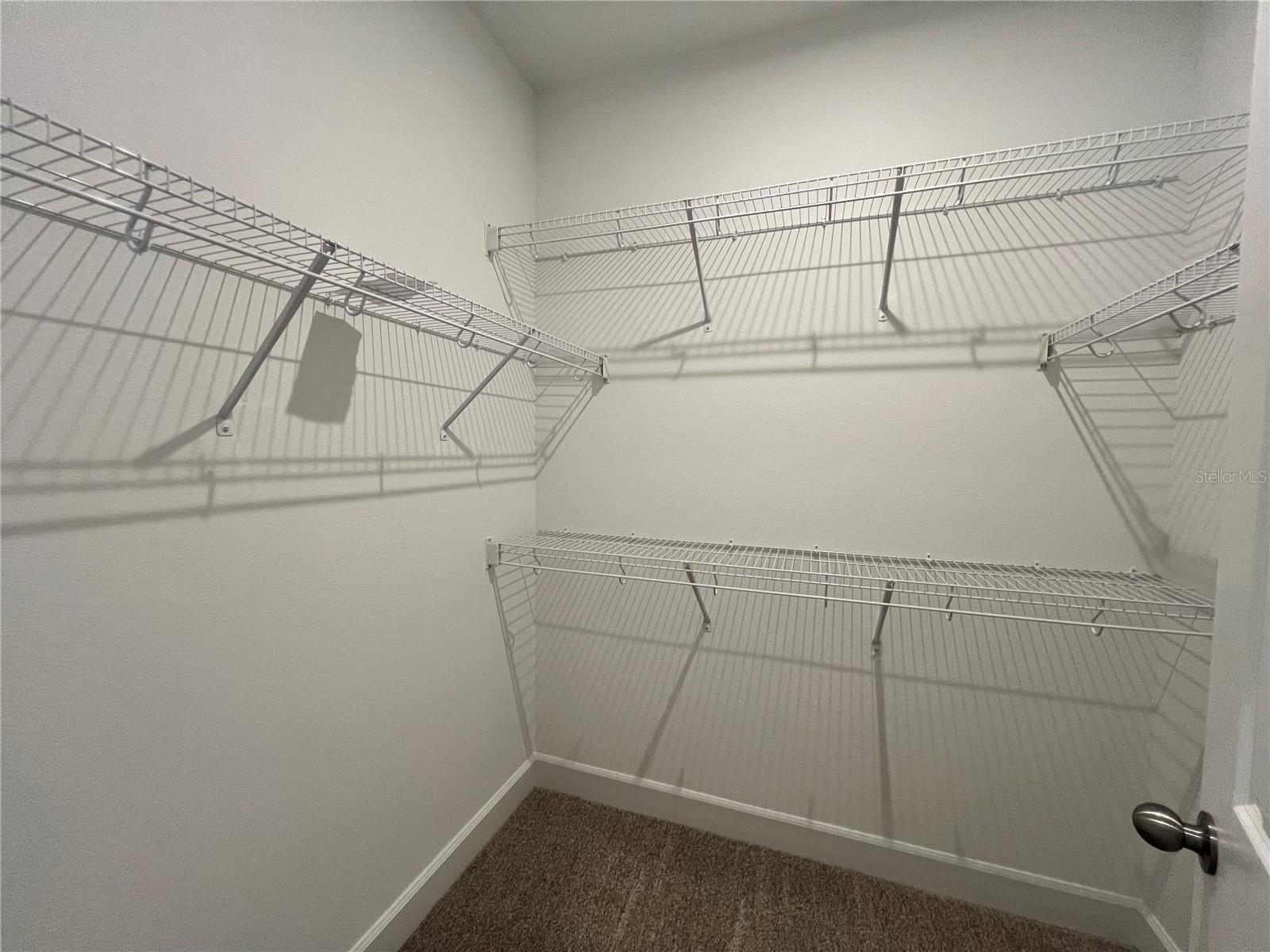 CELEBRATION ISLAND VILLAGE - Residential