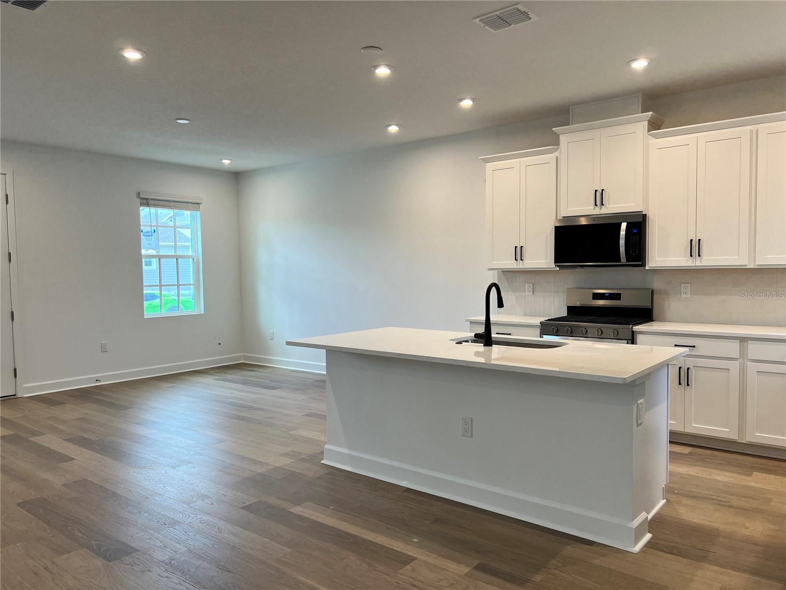 CELEBRATION ISLAND VILLAGE - Residential