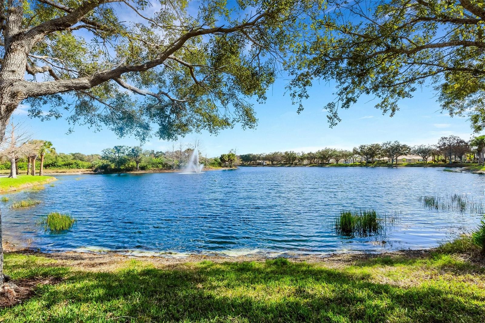 VILLAGEWALK - Residential