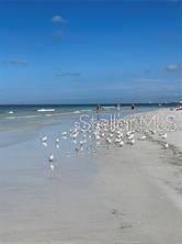 SARASOTA BEACH - Residential Income