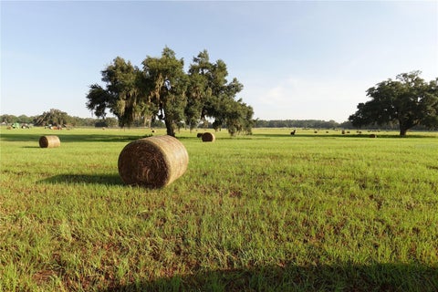 Tiny photo for 12750 W Highway 40 W, Ocala, FL 34481 (MLS # OM719934)