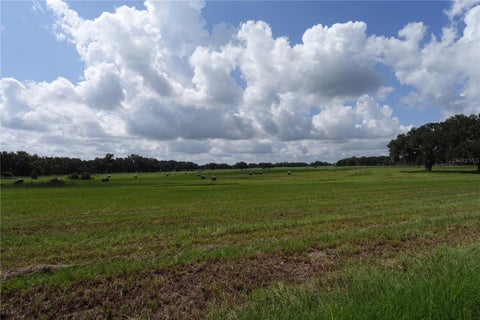 Tiny photo for 12750 W Highway 40 W, Ocala, FL 34481 (MLS # OM719934)