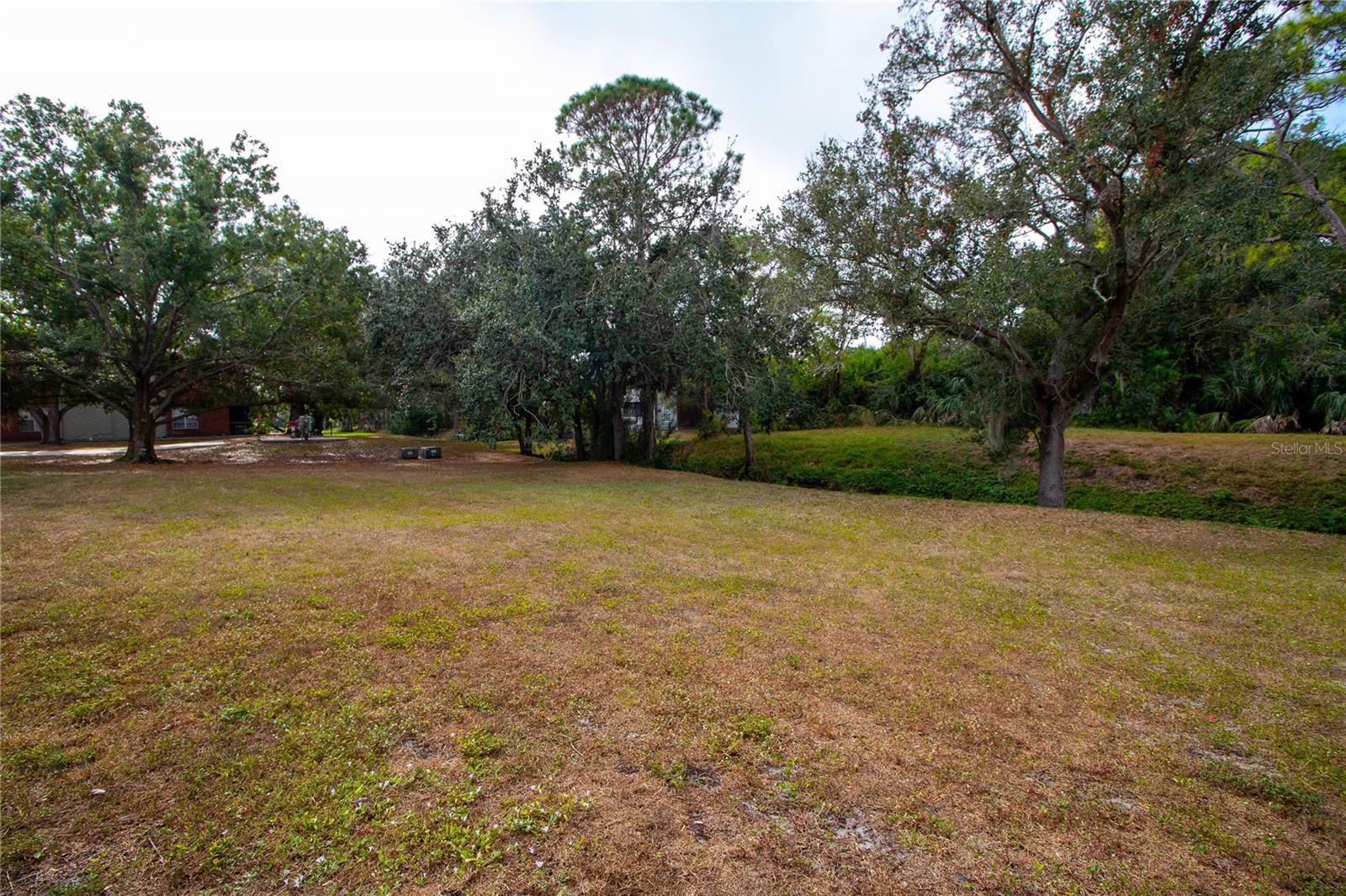 ENCLAVE AT ST PETERSBURG - Residential