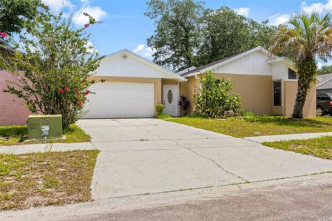 A home in TAMPA