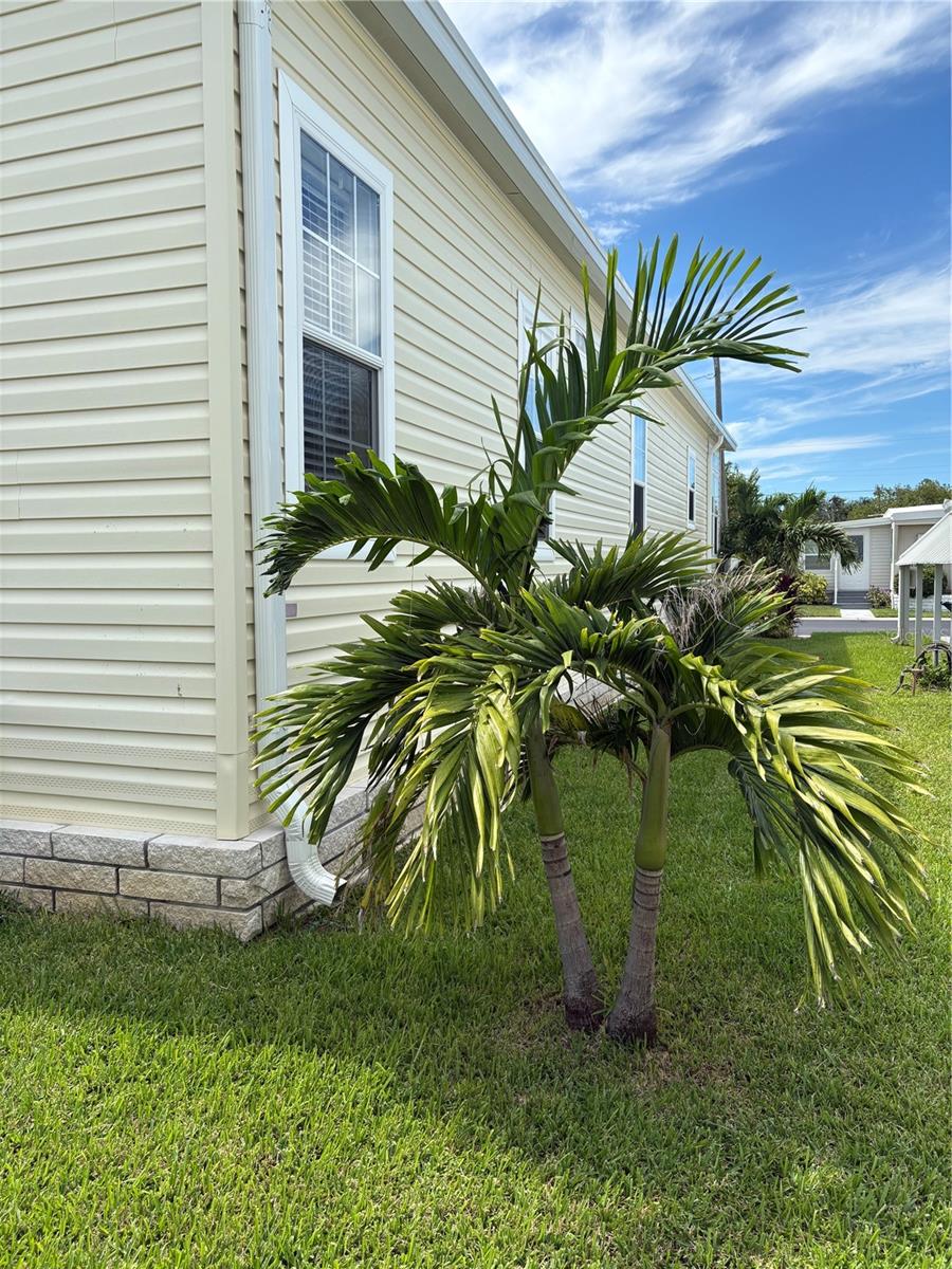 LAKE SEMINOLE RESORT NORTH M/H UNREC - Residential