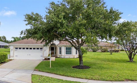 Photo of 12027 Fern Terrace Court, Trinity, FL 34655 (MLS # W7889082)