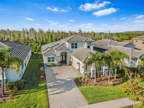 A home in WESLEY CHAPEL
