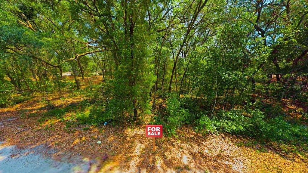 Photo of Tbd Malauka Radial, Ocklawaha, FL 32179 (MLS # A4691232)