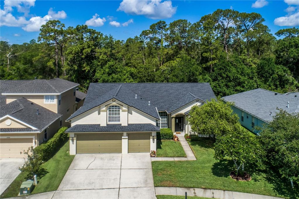 Photo of 12906 Tar Flower Drive, Tampa, FL 33626 (MLS # TB8350894)