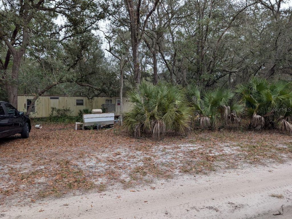 Photo of 10635 NE 207th Lane, Fort Mccoy, FL 32134 (MLS # O6367743)