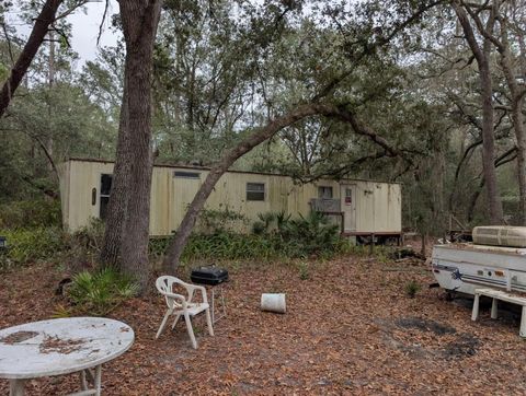 Photo of 10635 NE 207th Lane, Fort Mccoy, FL 32134 (MLS # O6367743)