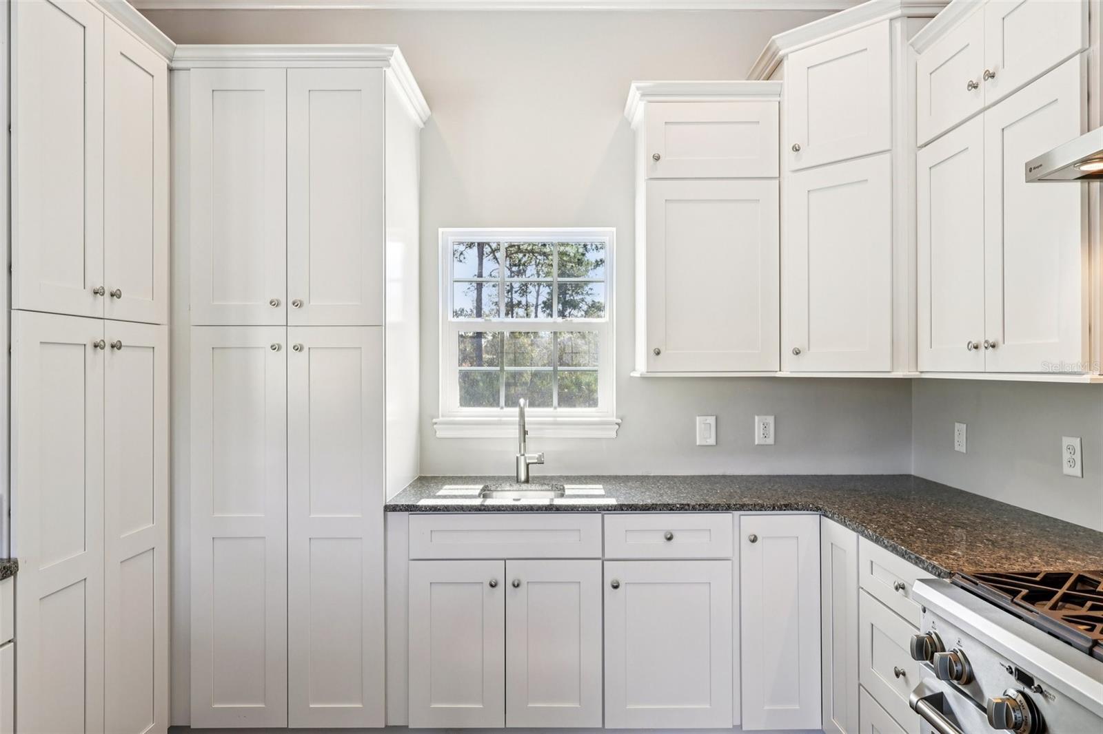 LAKE PICKET ESTATES PH 3 5 ACRE DEV - Residential