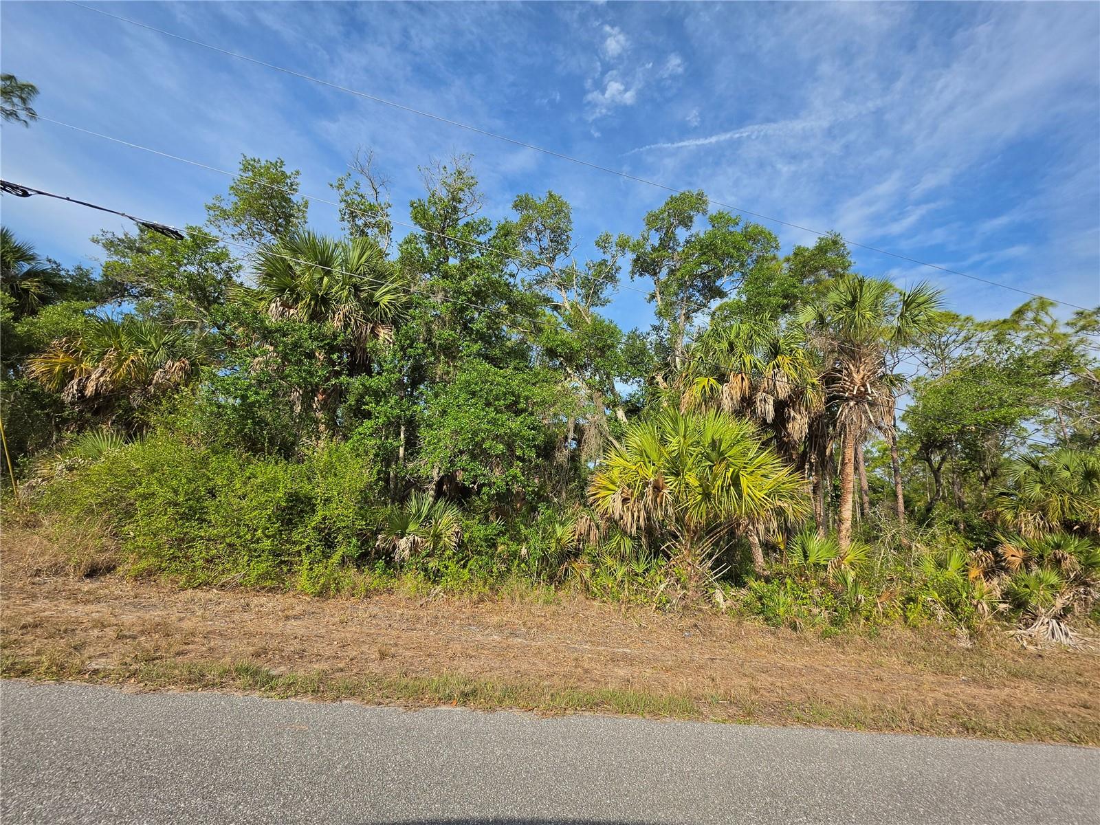 PORT CHARLOTTE SEC 029 - Land