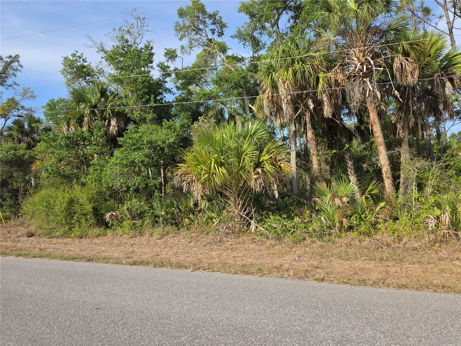 PORT CHARLOTTE SEC 029 - Land