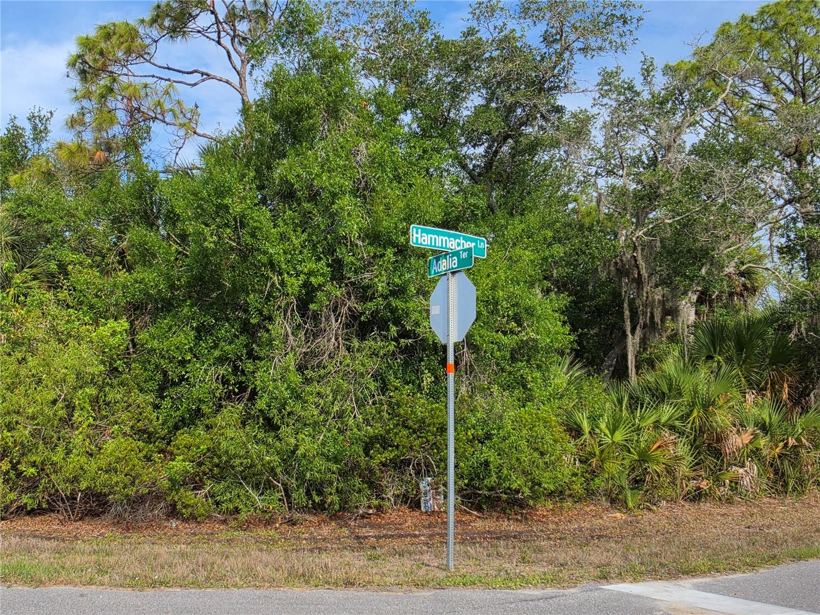 PORT CHARLOTTE SEC 029 - Land