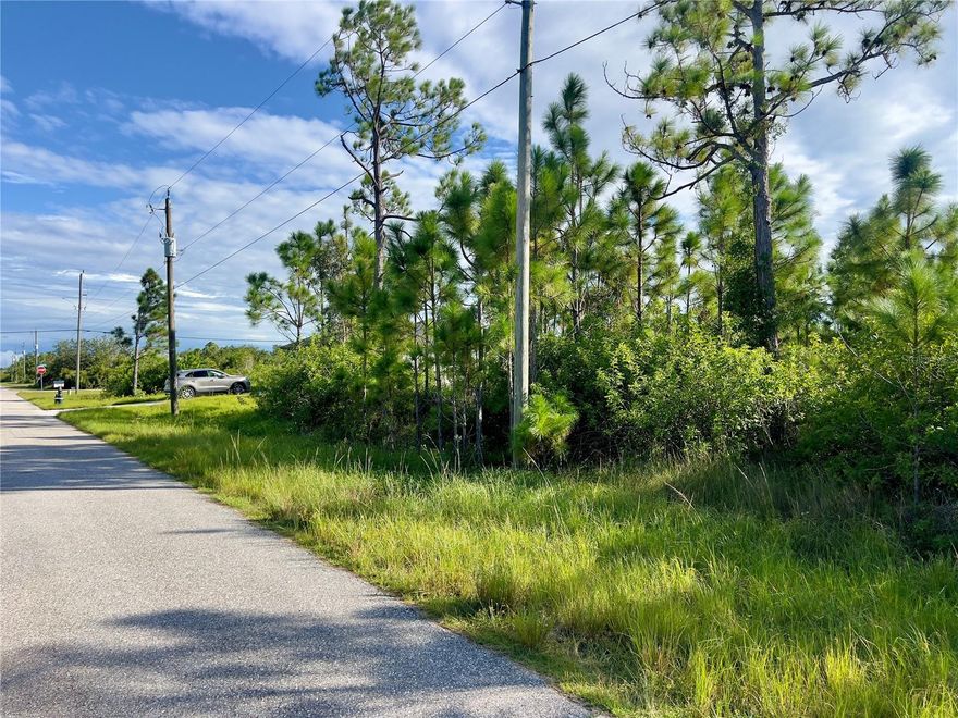 Nice building lot in easy access, central location of South Gulf Cove. This property is in the fast developing SGC community. New construction is popping all over. This is the next big thing in Charlotte County.