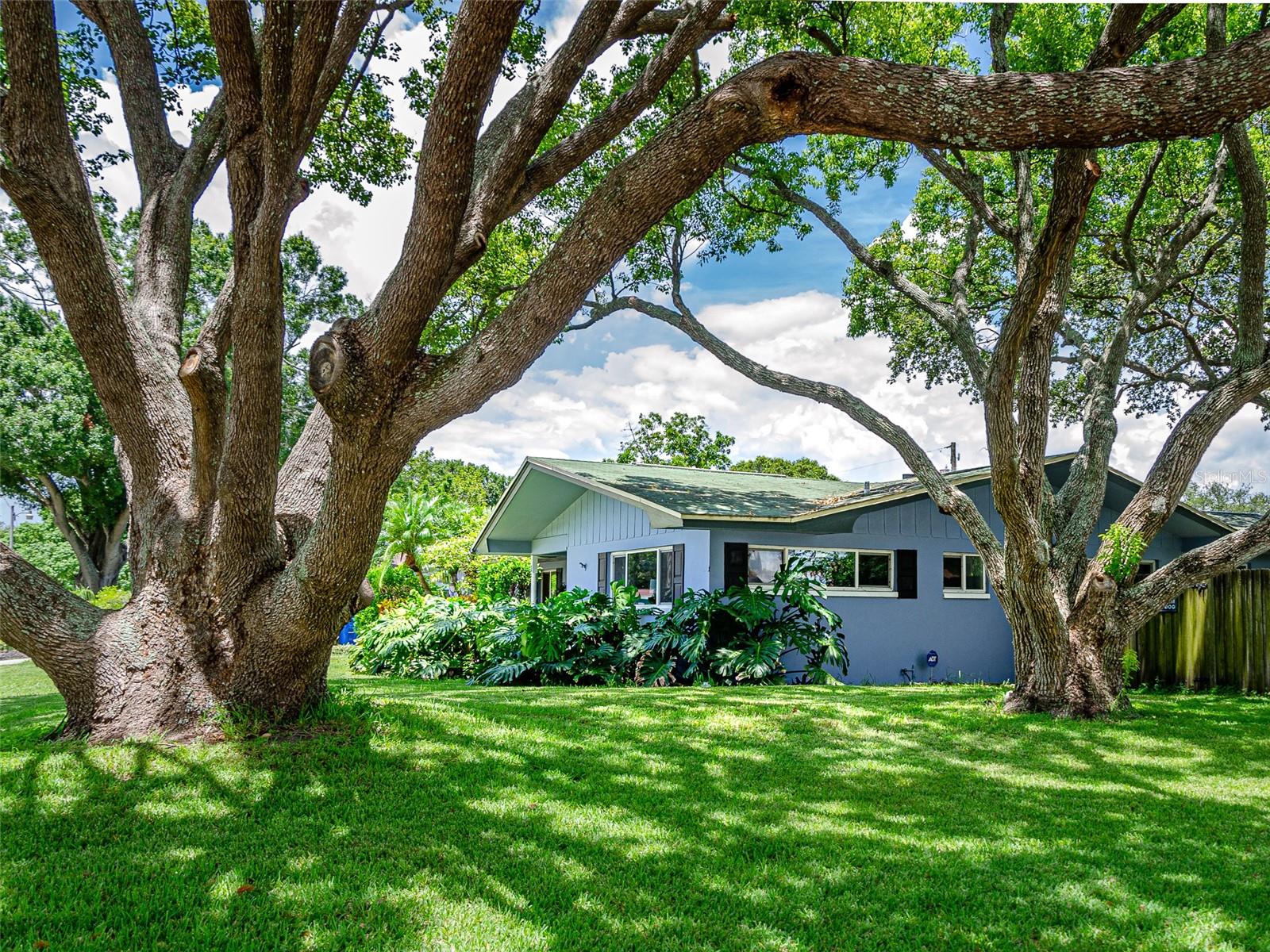 EASTWOOD TERRACE - Residential