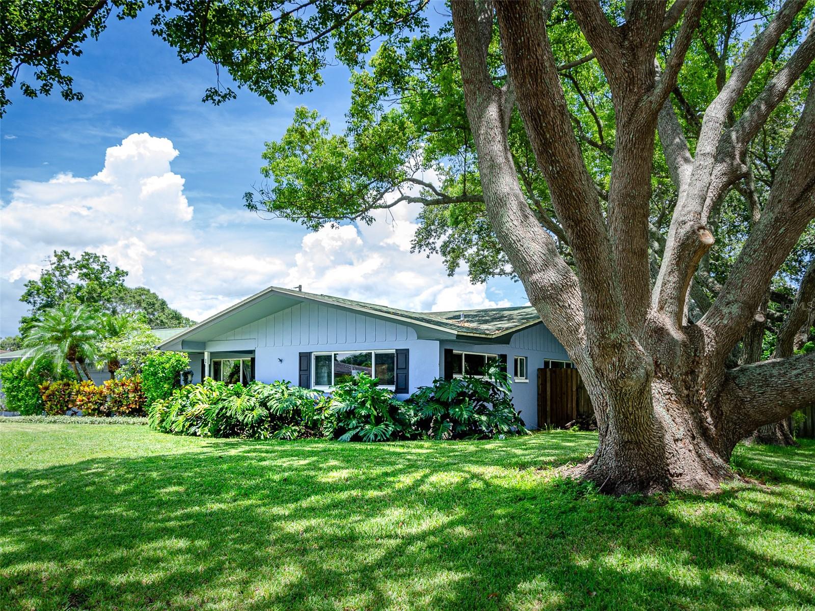 EASTWOOD TERRACE - Residential