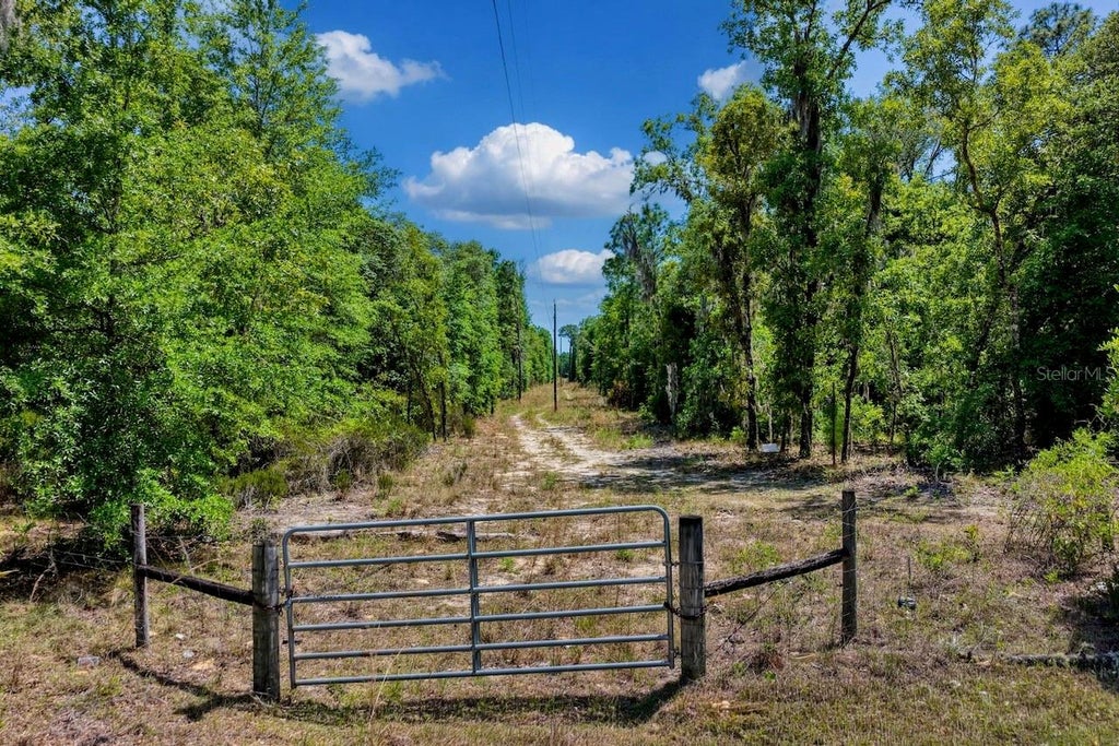 Photo of Tbd NE 75th Street, Williston, FL 32696 (MLS # OM727900)