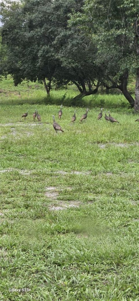 Tiny photo for 40140 Swift Road, Eustis, FL 32736 (MLS # O6317197)