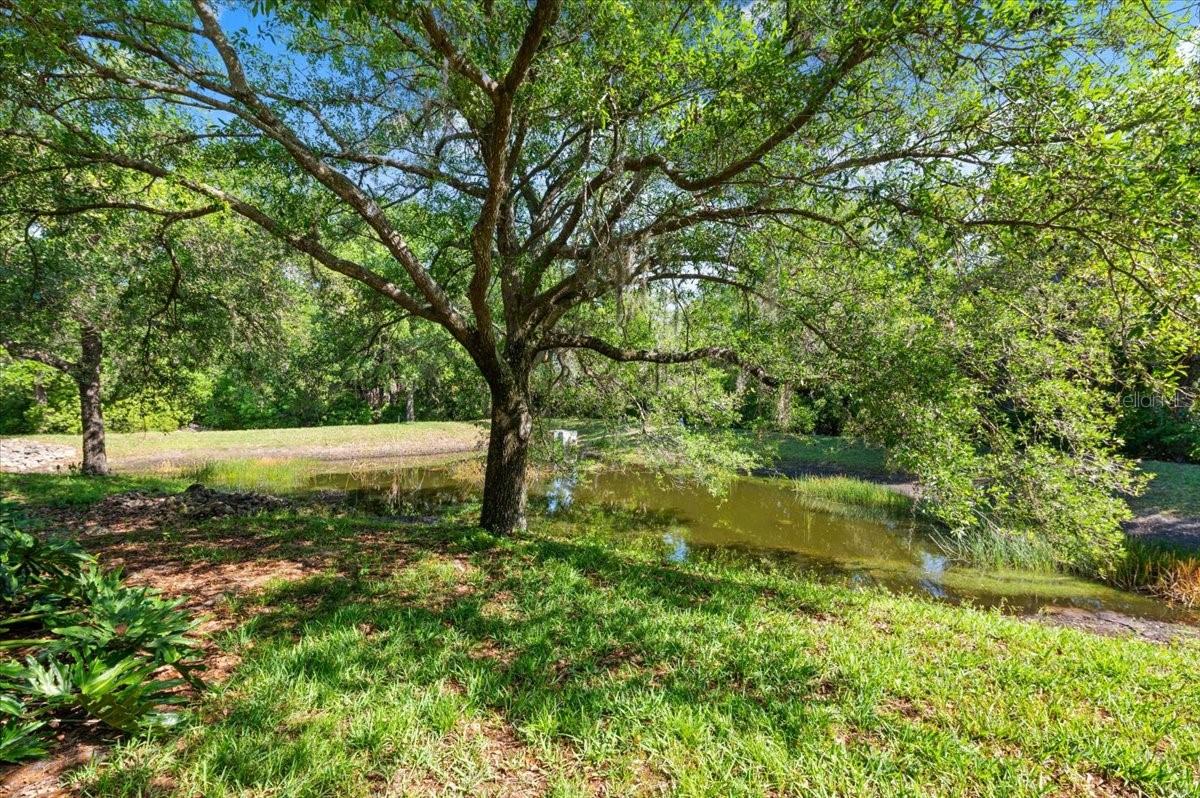 HARBORAGE ON BRADEN RIVER II PH I - Residential