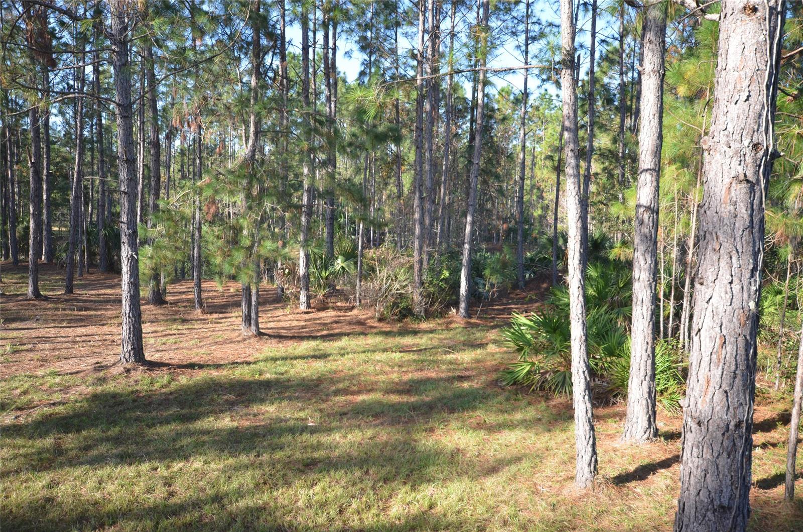 Ashby Cove Estates Unrec - Land