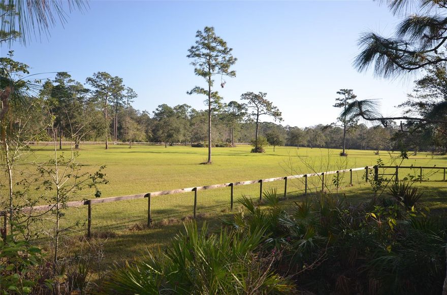 Welcome to the country life in New Smyrna Beach.  This 15 acres is located in the gated community of Ashby Cove Estates.  The land has been cleared, pastured, fenced and has a serene pond located amongst the privacy of the pines.   Equestrian lovers will find ample horse trails and riding preserves all within a short distance.  Whether you are looking for peace and quiet or just space to spread out, you will find that this large parcel will offer both.