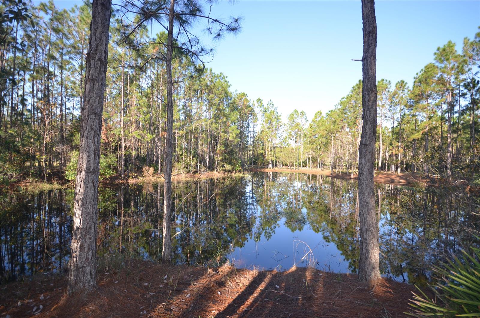 Ashby Cove Estates Unrec - Land