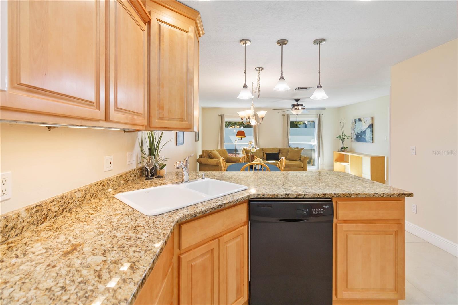 PARK LAKE VILLAS CONDO - Residential