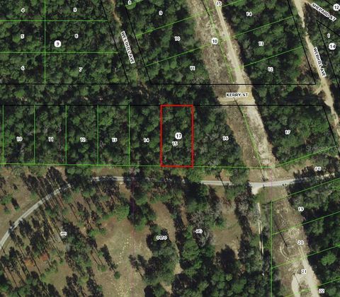 2711 KERRY STREET INVERNESS FL 34452