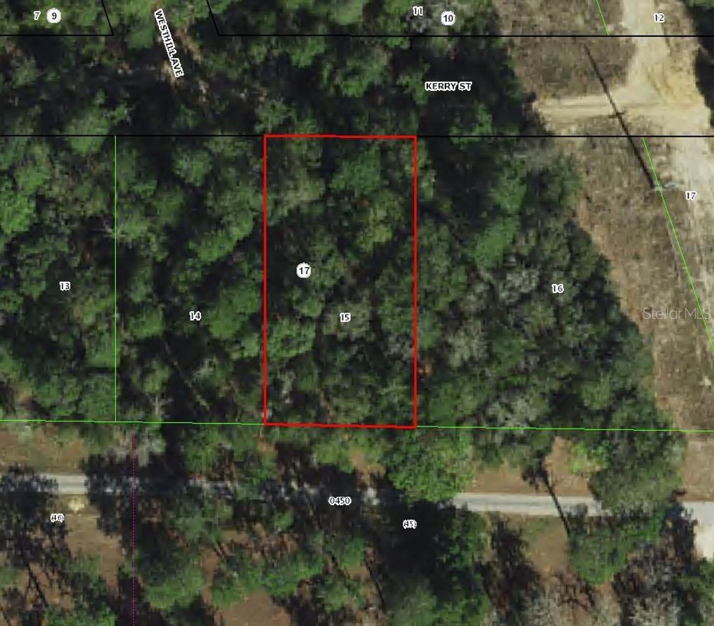 Photo of 2711 Kerry Street, Inverness, FL 34452 (MLS # TB8458349)