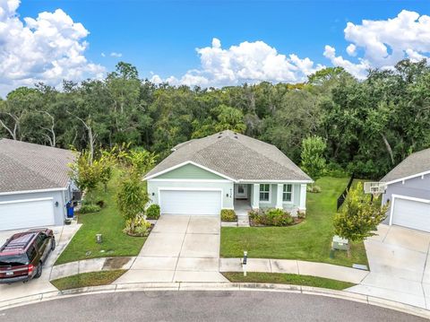 4136 WATSON DRIVE NEW PORT RICHEY FL 34655