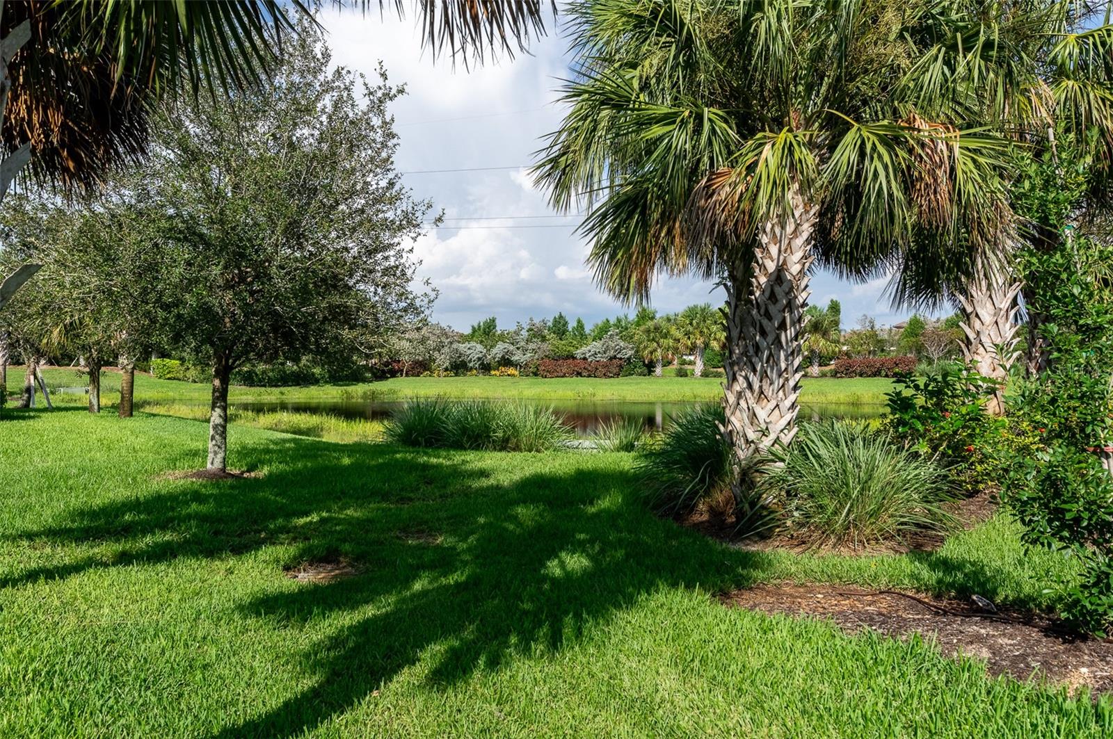 HAMMOCK PRESERVE - Residential