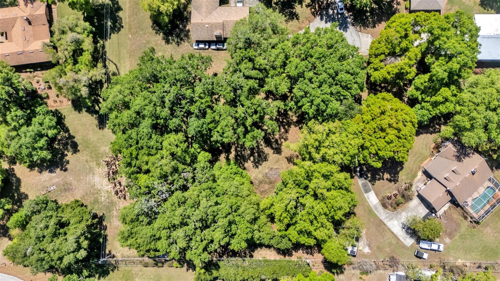 ROLLING OAK ESTATES - Land