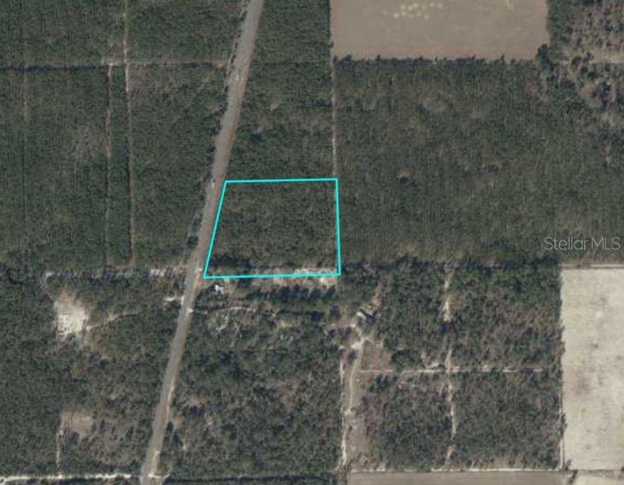 12 acre lot with HWY 129 frontage. This high and dry property has planted pines that can be sold when fully grown. Zoned A1 agricultural. Can be purchased with the adjacent lot, see OM717050