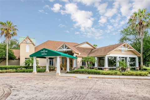 A home in MOUNT DORA