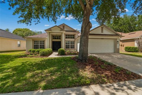 Photo of 6128 Whimbrelwood Drive, Lithia, FL 33547 (MLS # TB8501542)